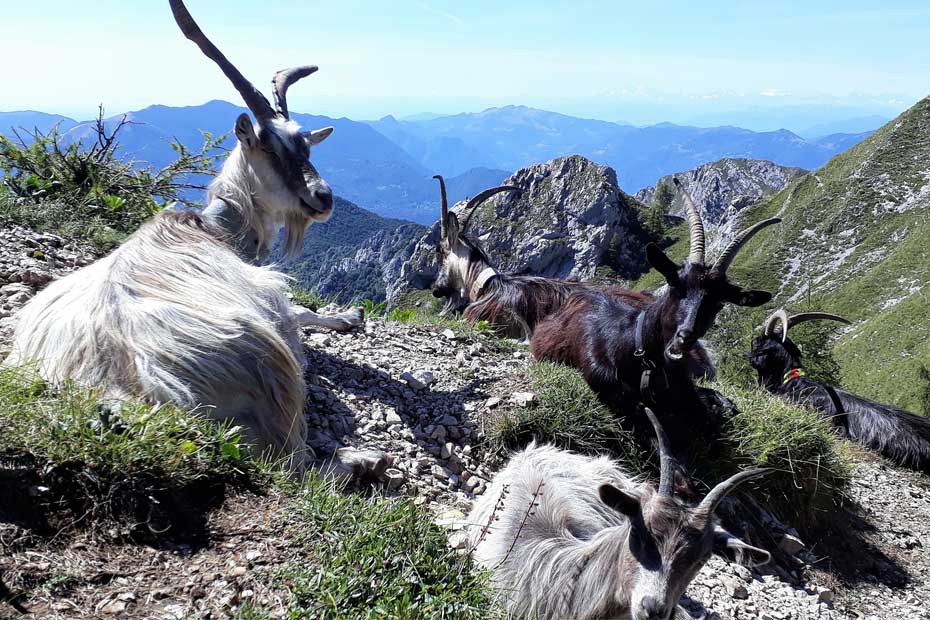 coburger-kultouren-der-coburger-auf-reisen-3